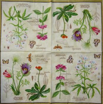158 Blumen Sonstige - 3-lagig (creme) - Ihr